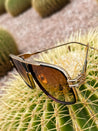 brown and black gold frame aviator sunglasses