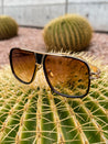brown and black gold frame aviator sunglasses